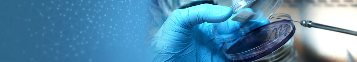 主な取り扱い製品